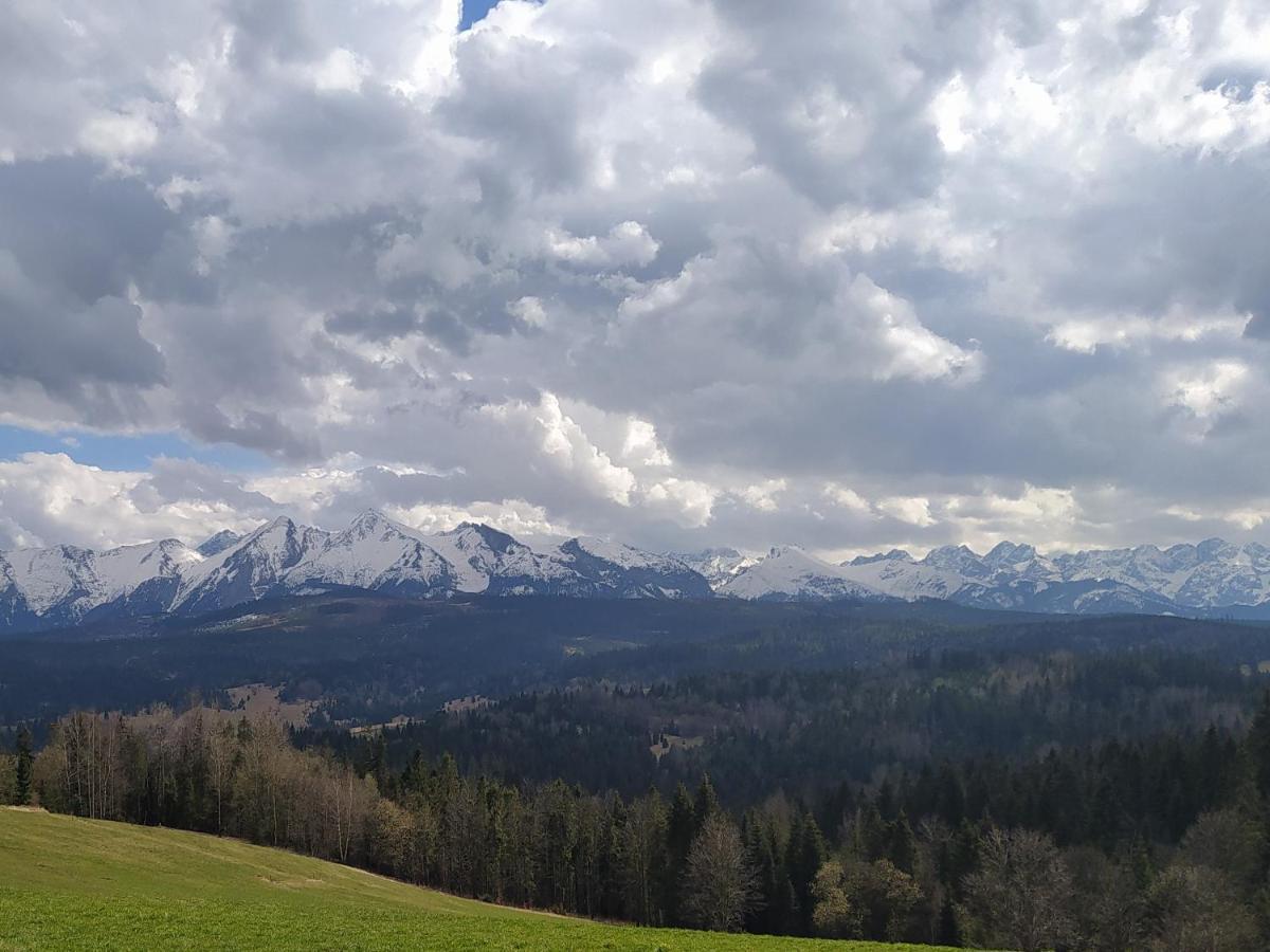Familiowka Villa Mizerna Eksteriør bilde